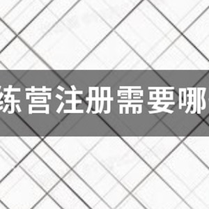 篮球训练营一般是个体还是公司